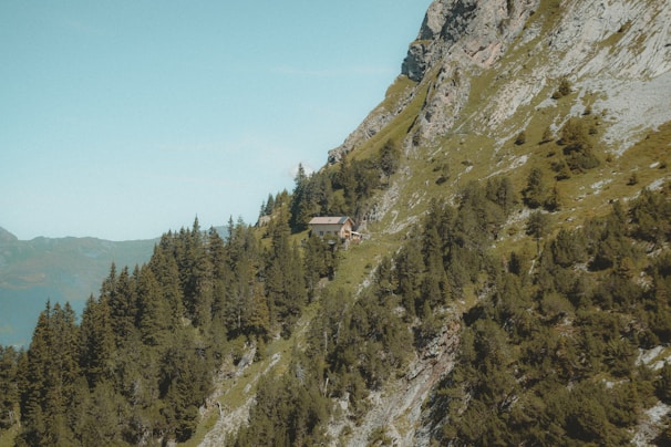 A quaint cabin is nestled on a steep mountainside, surrounded by lush green trees and rugged rock formations. The sky is clear with a light blue hue, and the landscape offers a sense of isolation and tranquility.