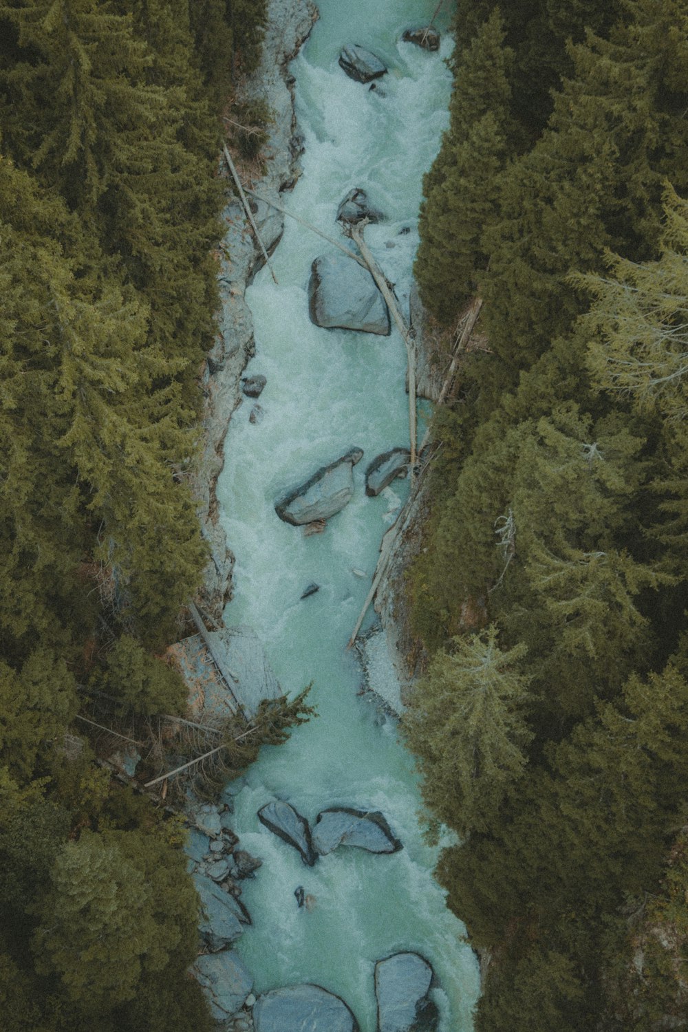 a river running through a forest filled with trees