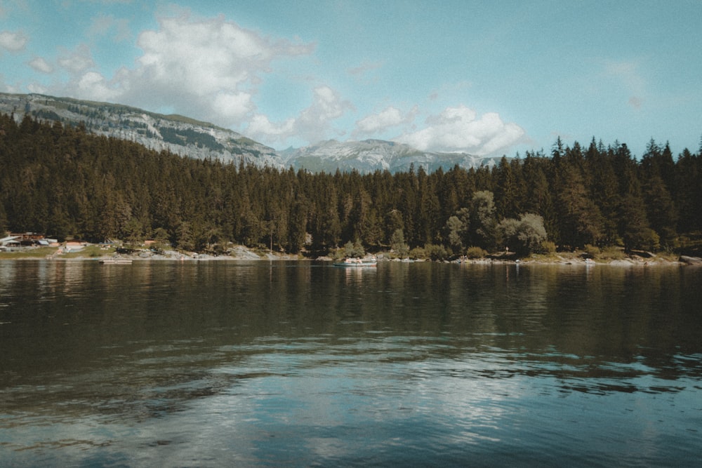 a body of water surrounded by trees and mountains