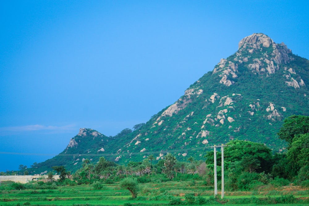 a green field with a mountain in the background