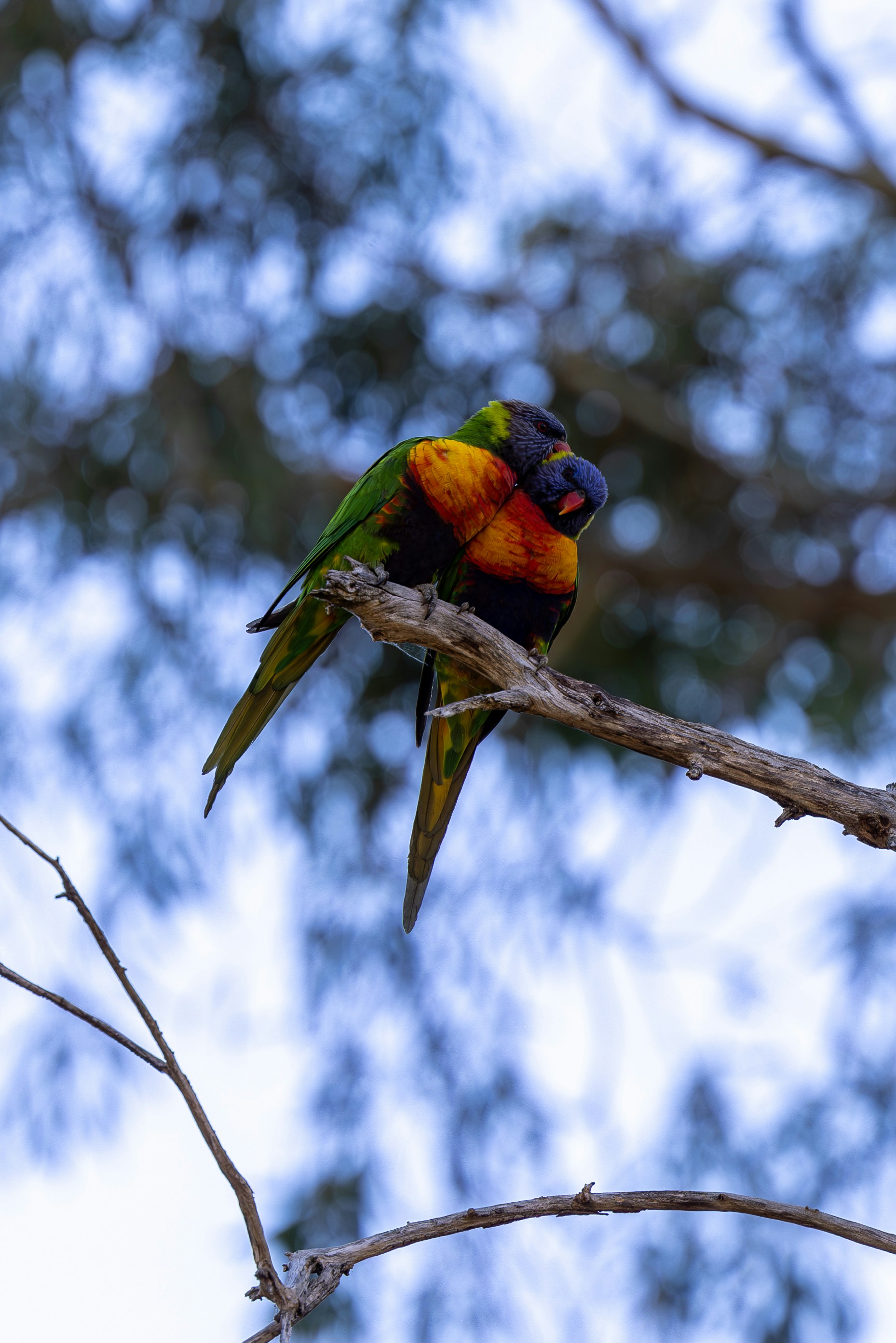 Photo by stephenmabbs