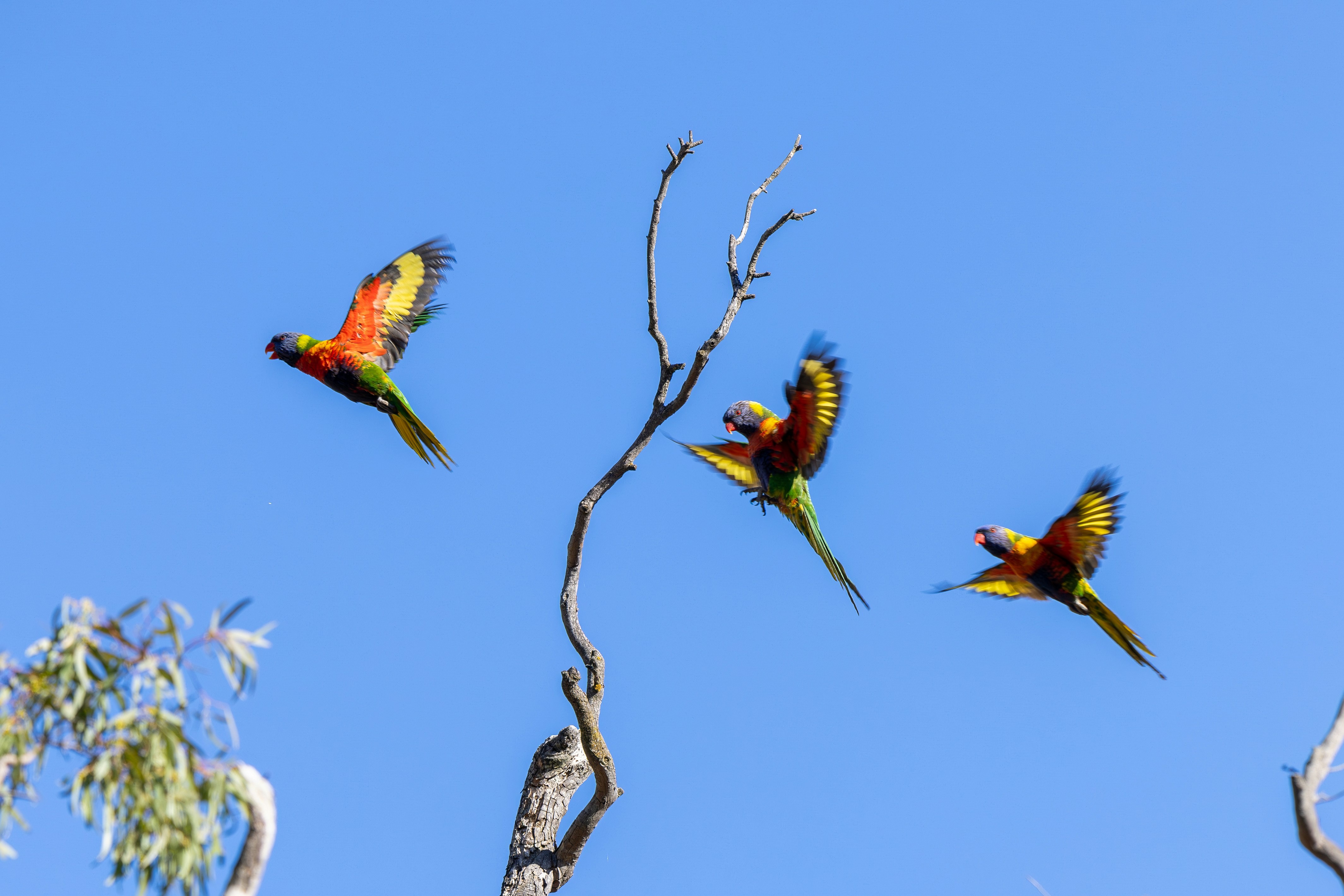 Photo by stephenmabbs