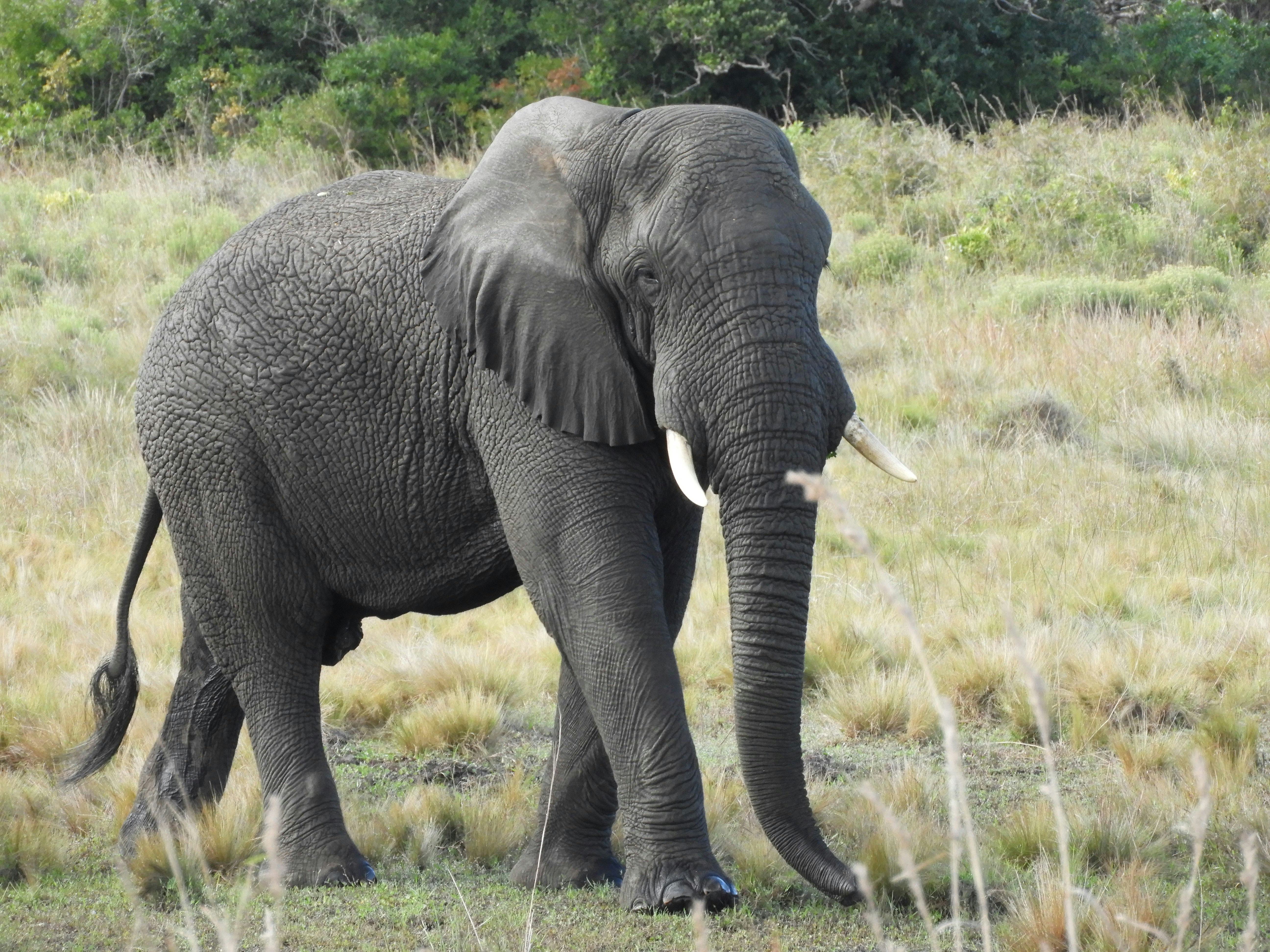 Photo by lyssa_elliott