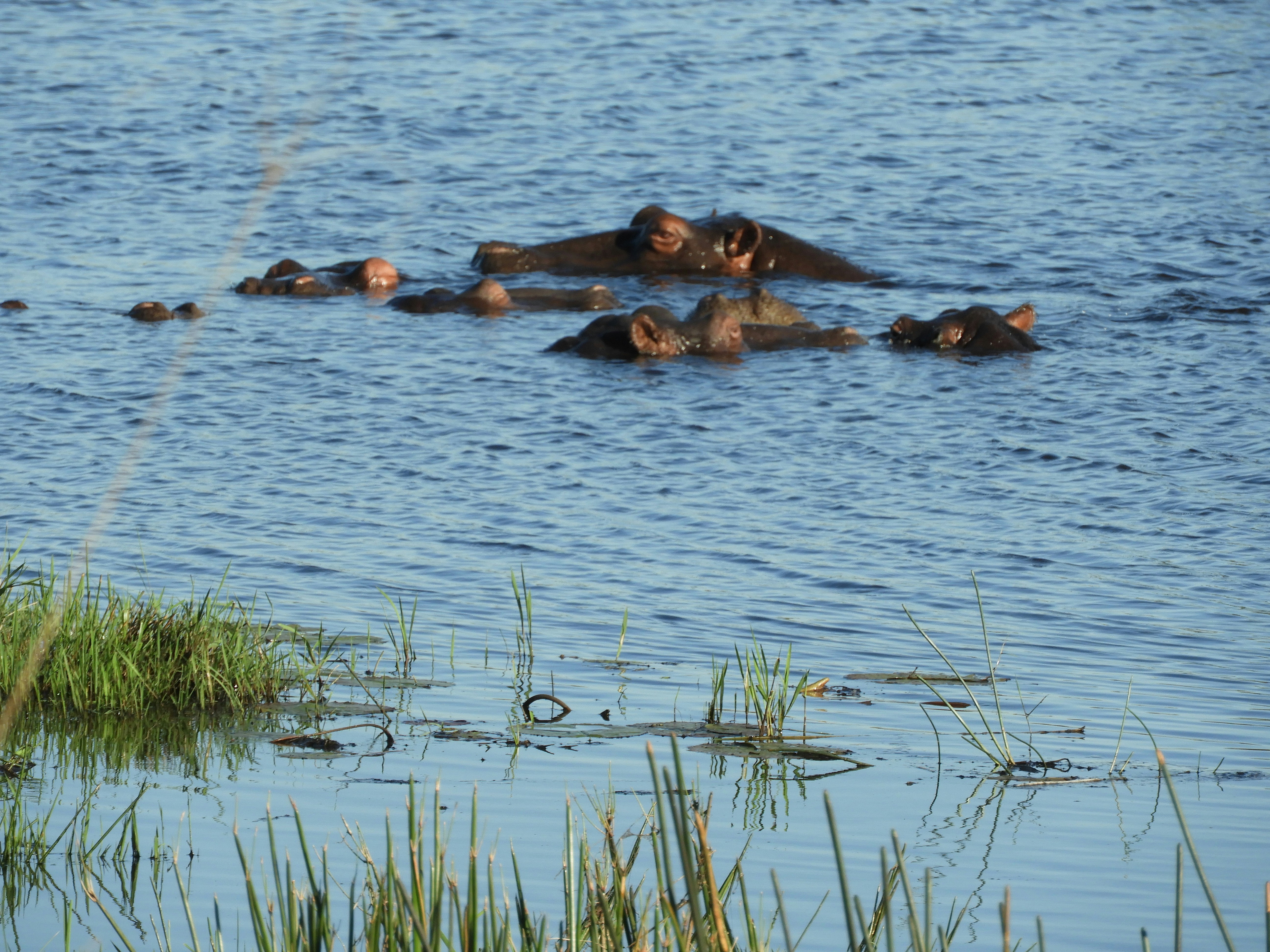 Photo by lyssa_elliott