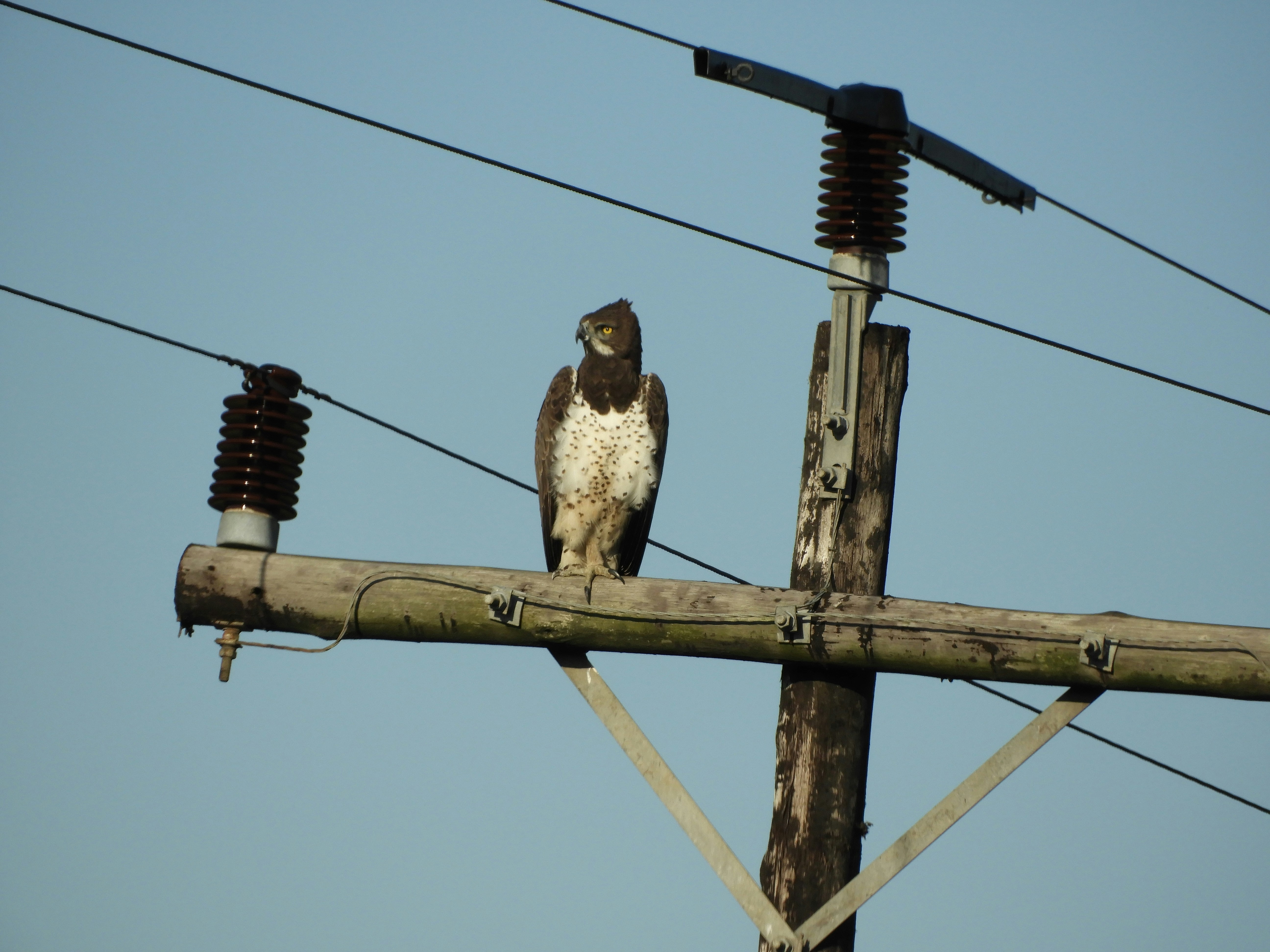 Photo by lyssa_elliott