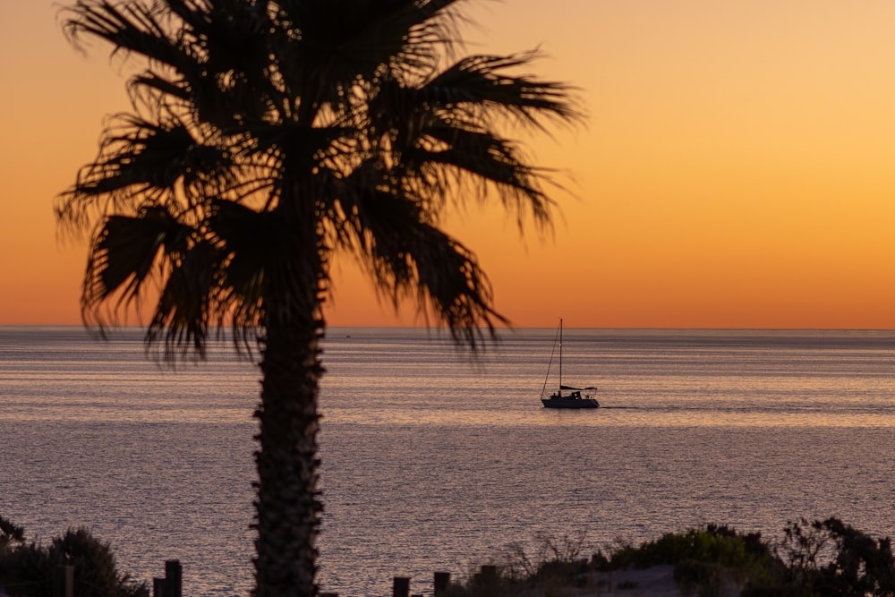 Un barco en el océano al atardecer con una palmera en primer plano