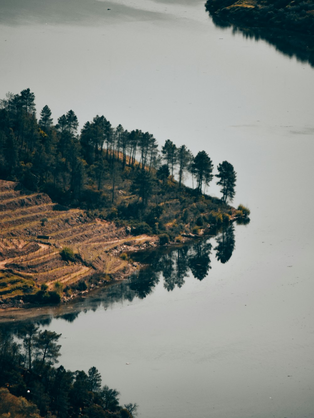 a body of water surrounded by trees and land