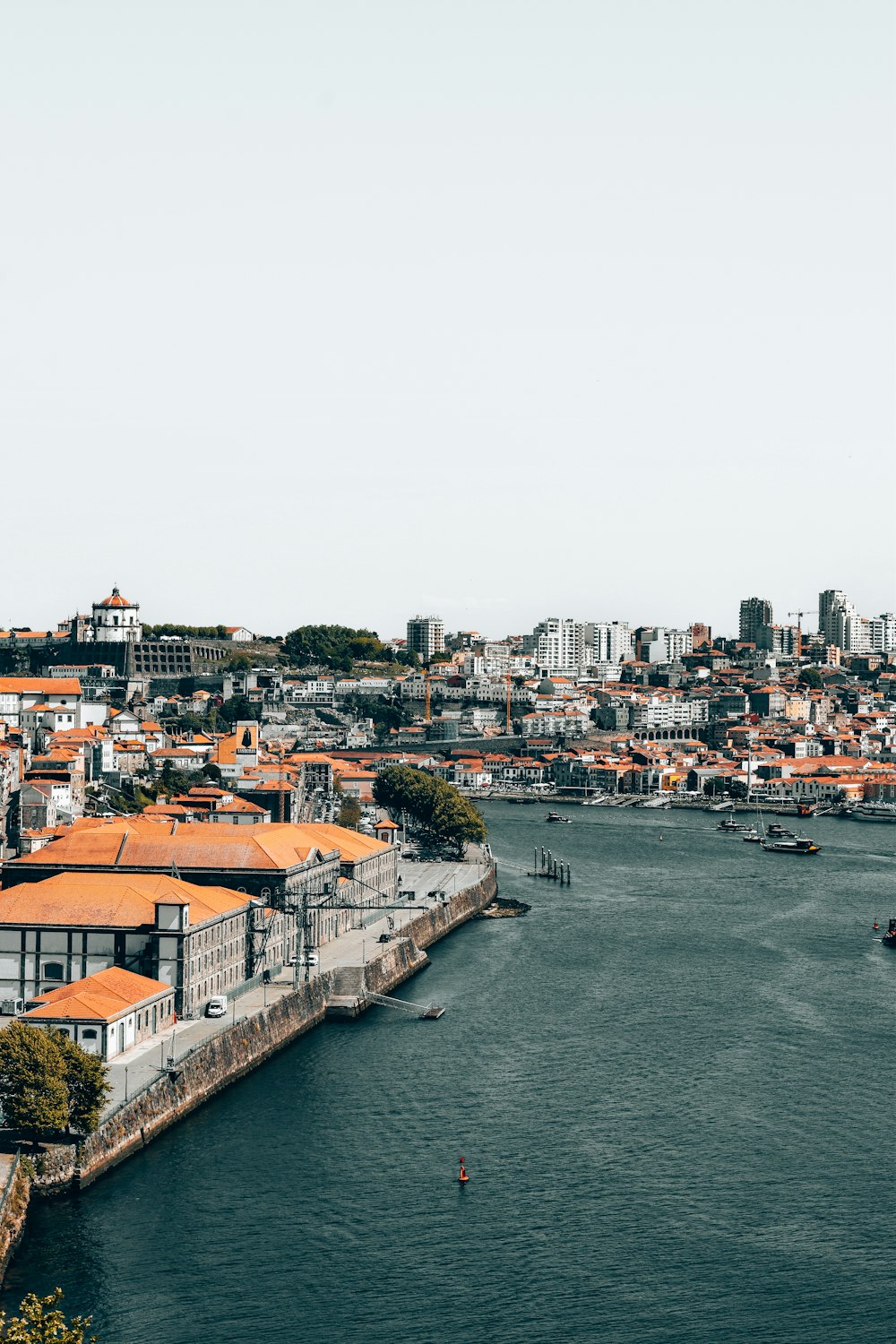 a body of water with a city in the background