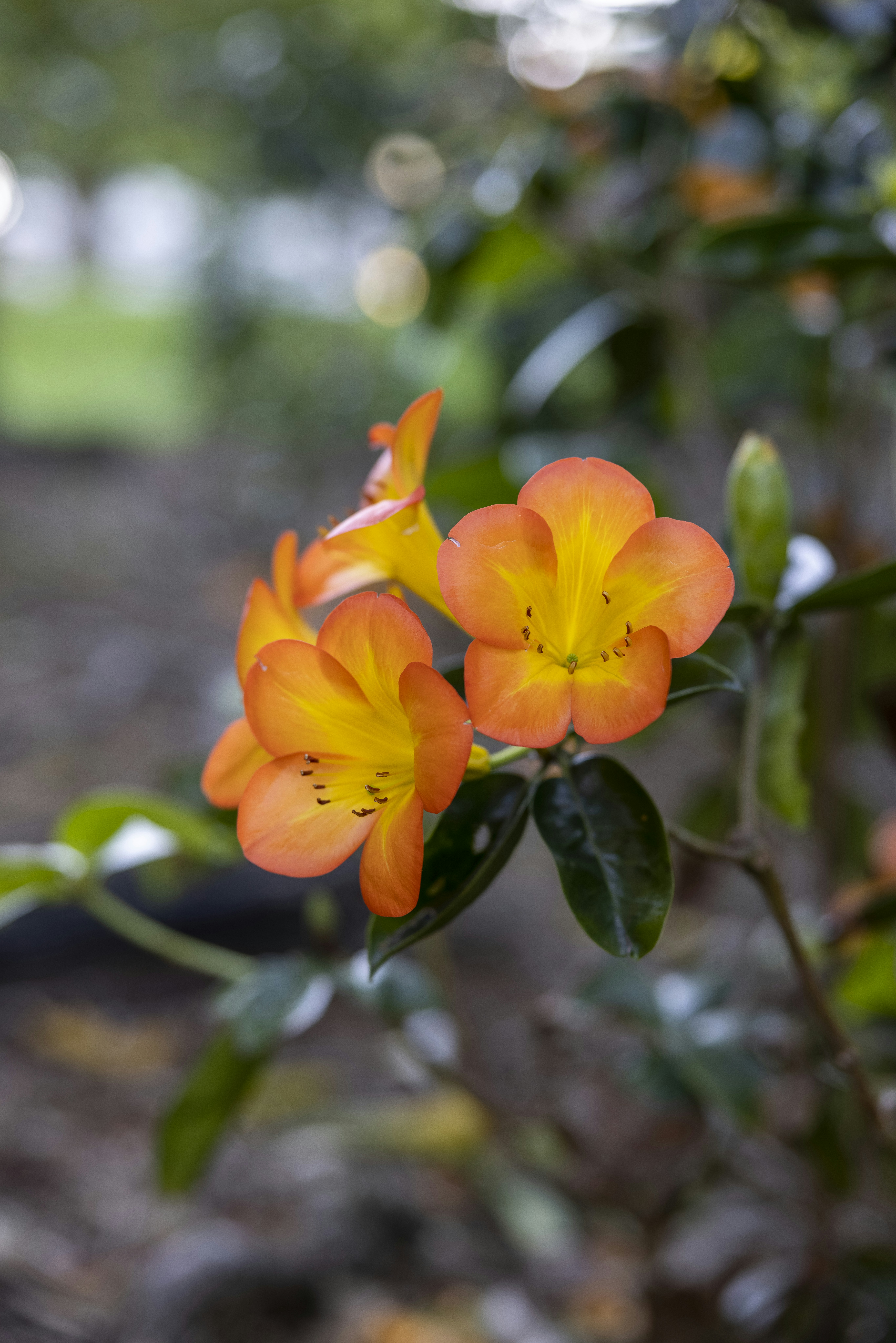 Photo by stephenmabbs