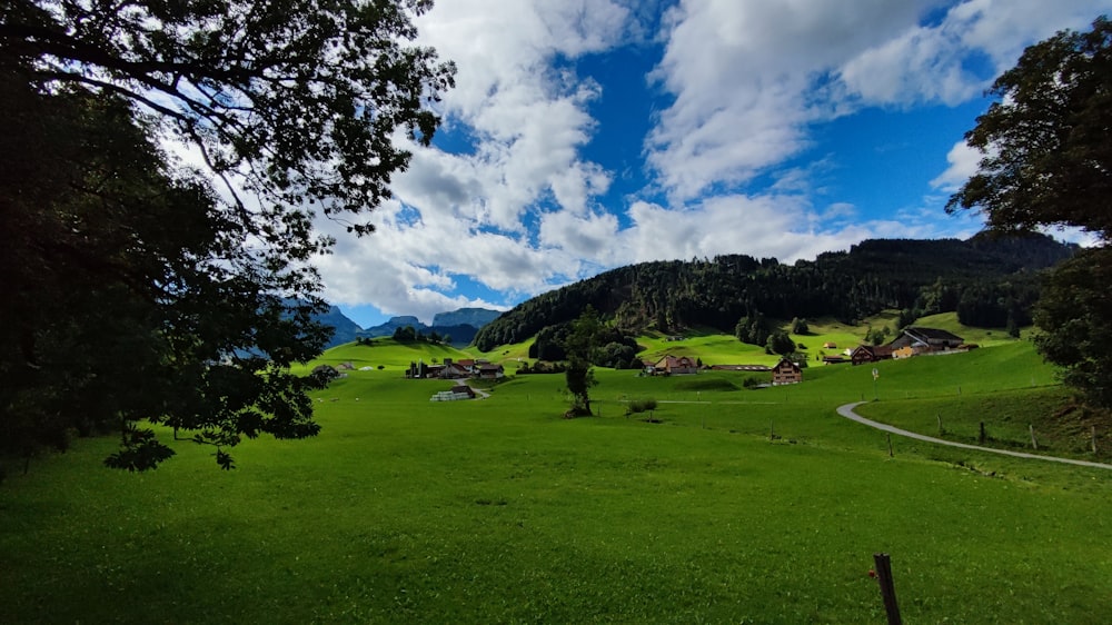 a lush green field with a small village in the distance