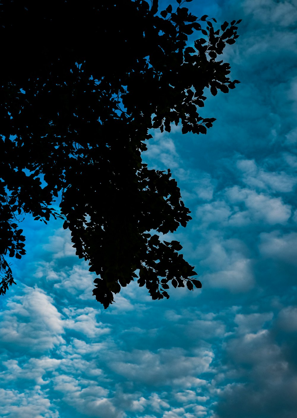 a plane flying through a cloudy blue sky