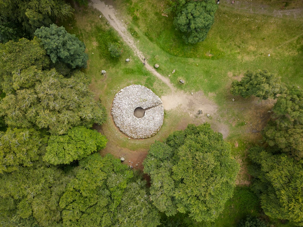 an aerial view of a circular structure in the middle of a forest
