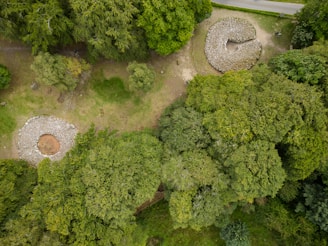an aerial view of a wooded area with trees