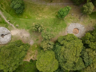 Top view of a complex stone arrangement in a lush green field.