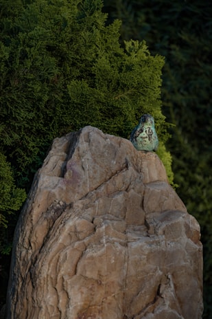 Macro shot of a vibrant green frog sitting on a mossy rock.