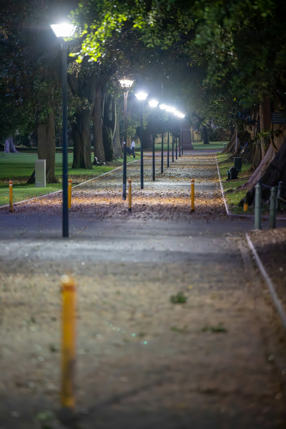 a park path with a row of lights on each side of it