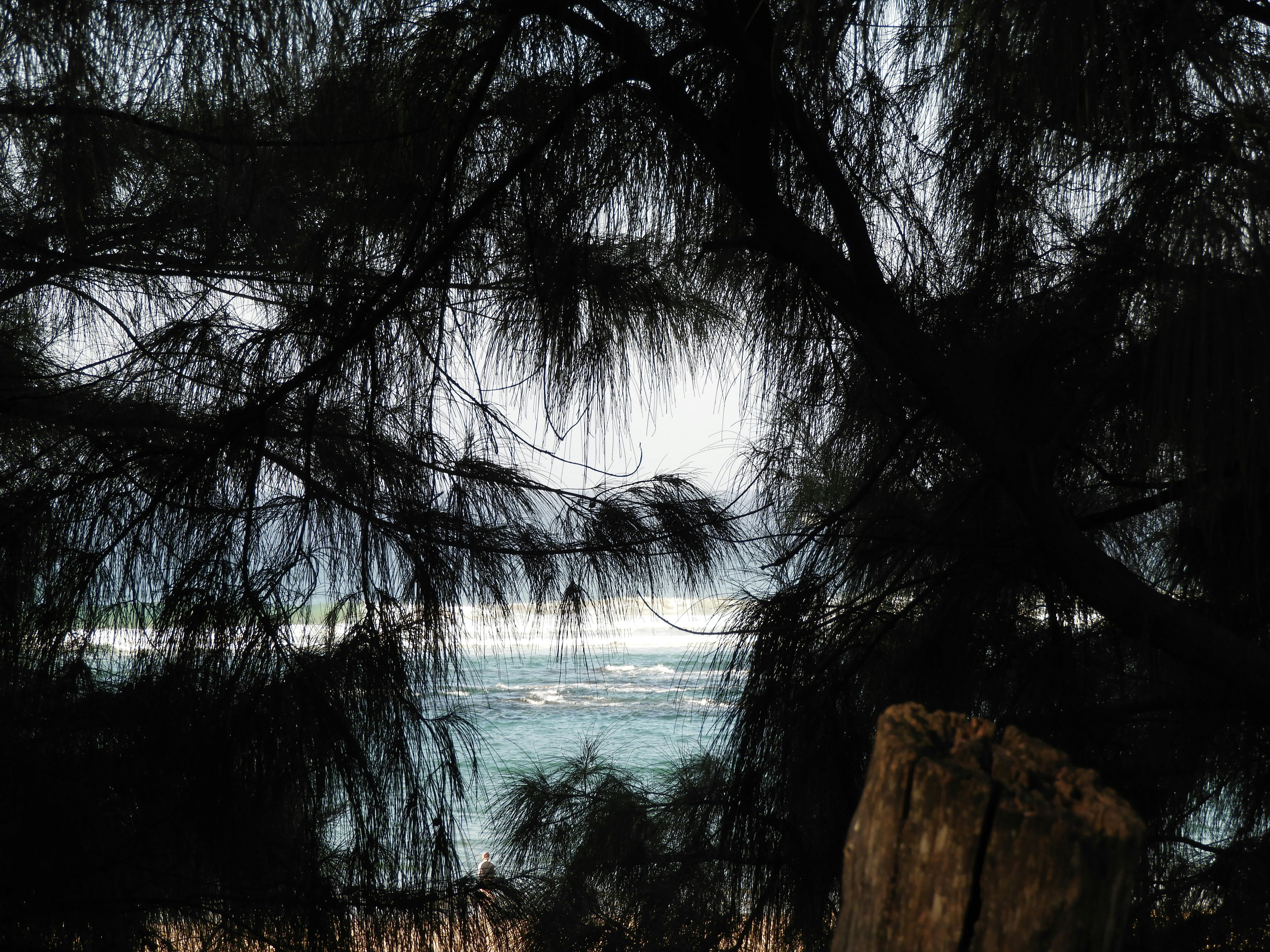 Photo by lyssa_elliott