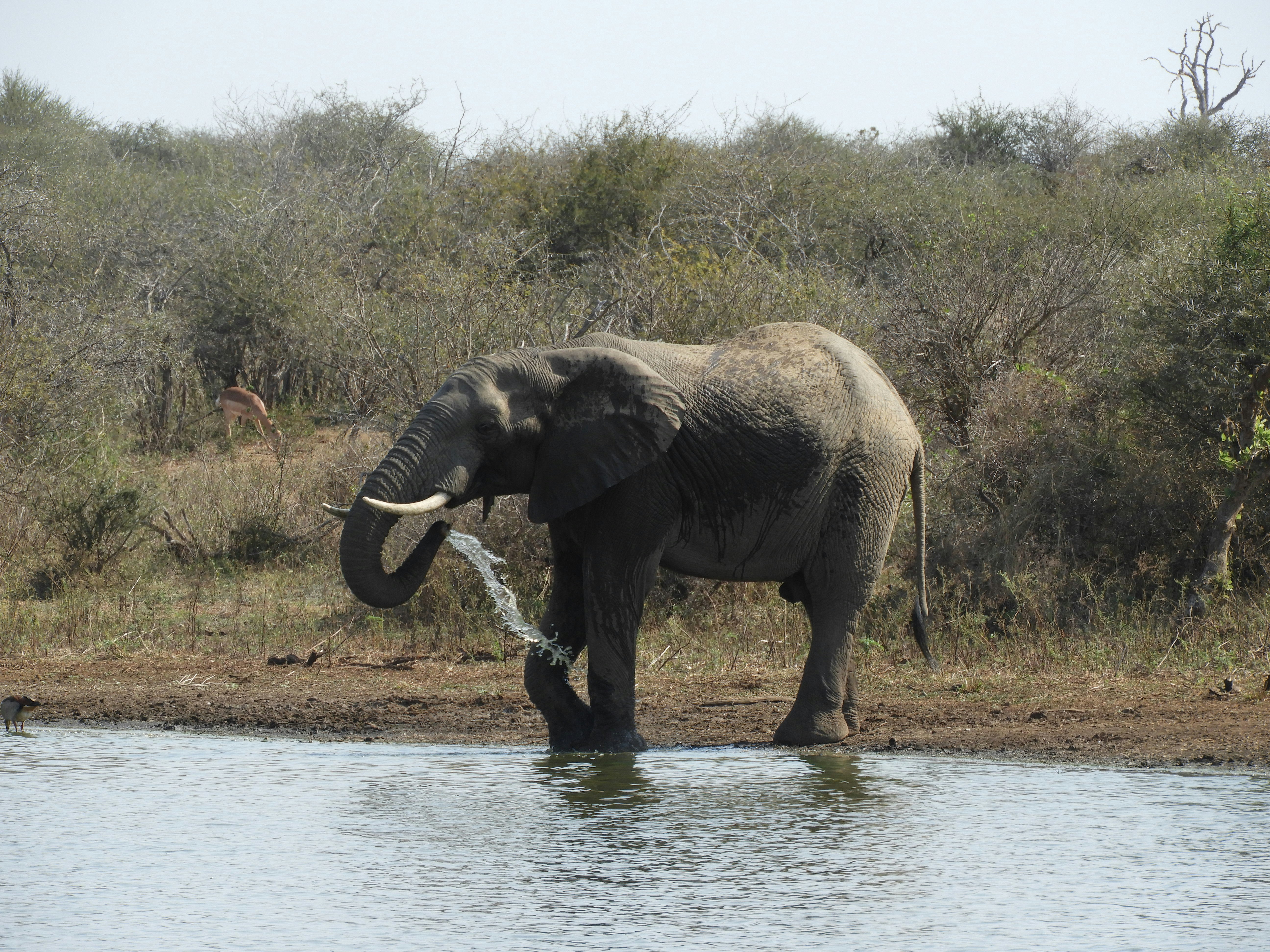 Photo by lyssa_elliott