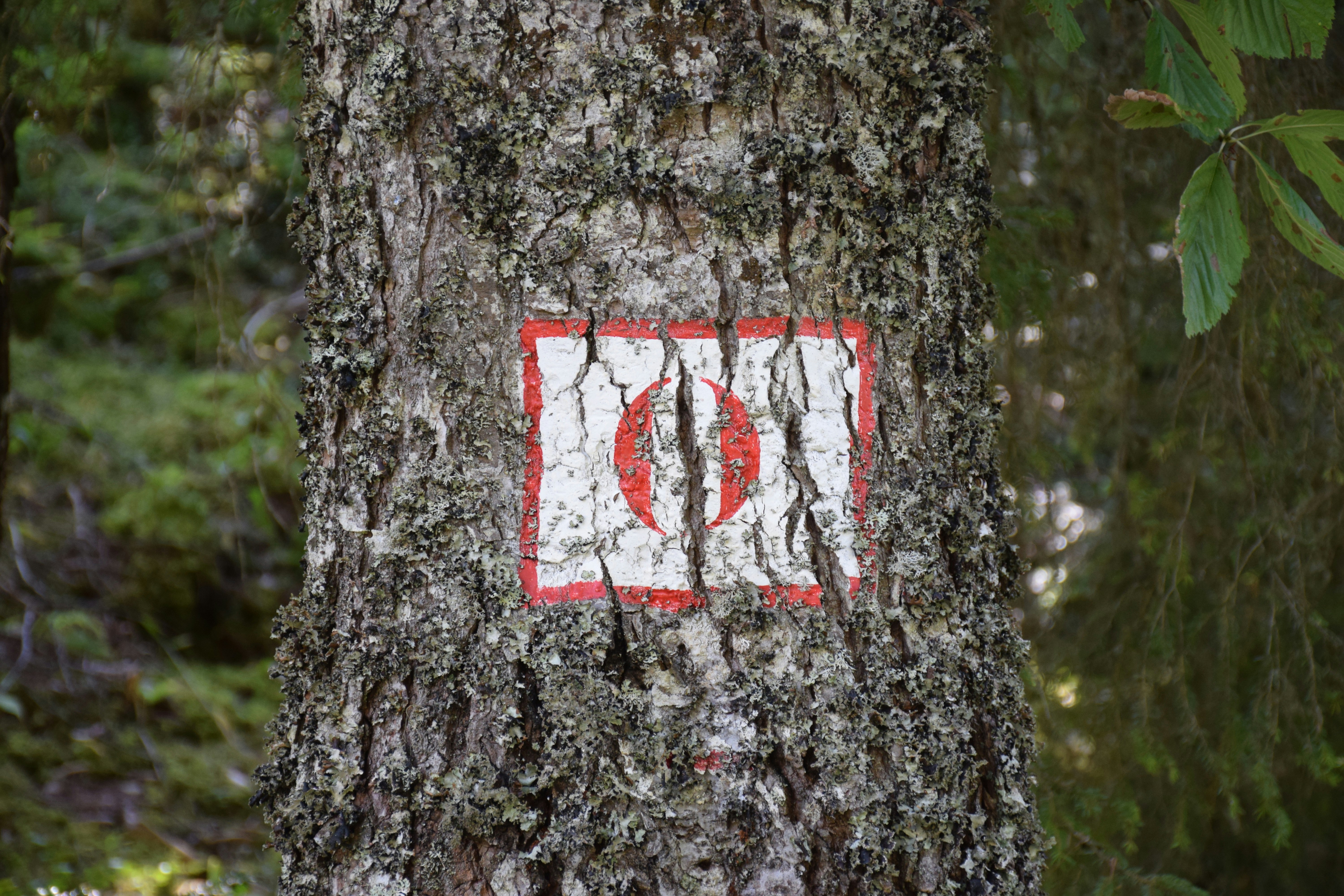 a red and white sign on a tree in the woods