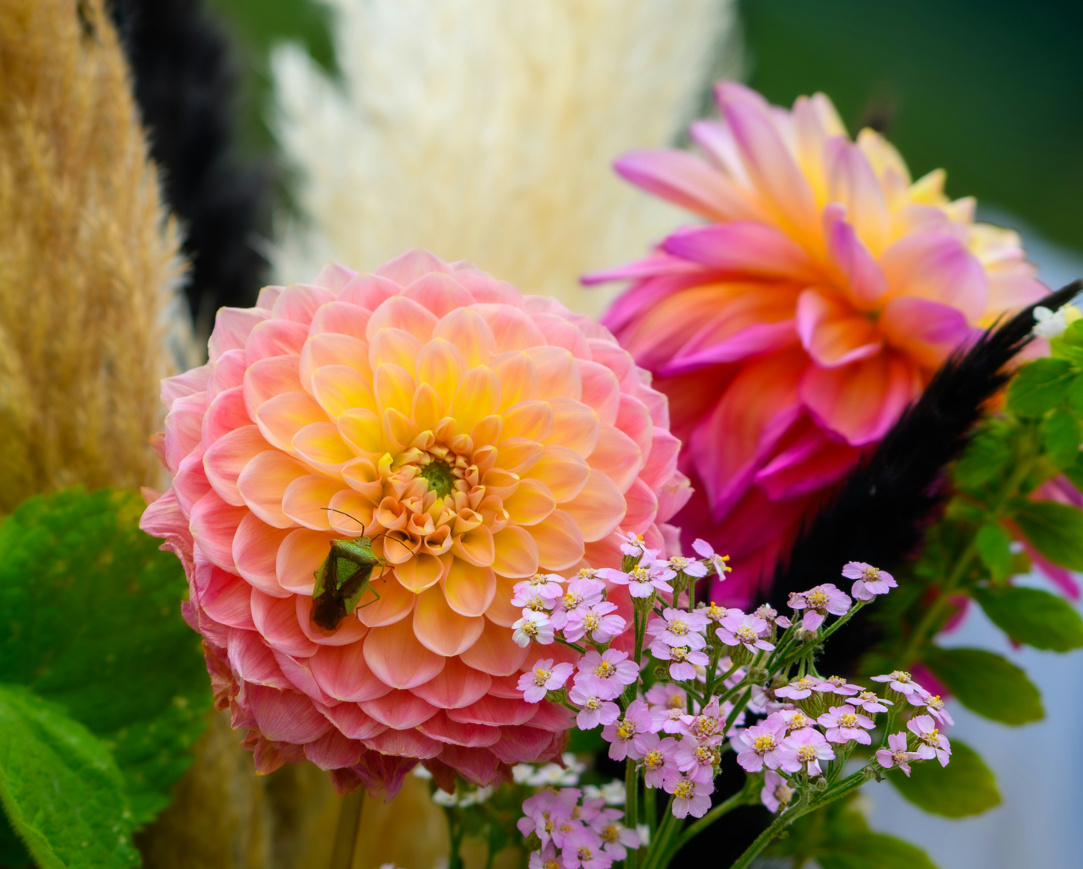 Photo by markmcneillphotography