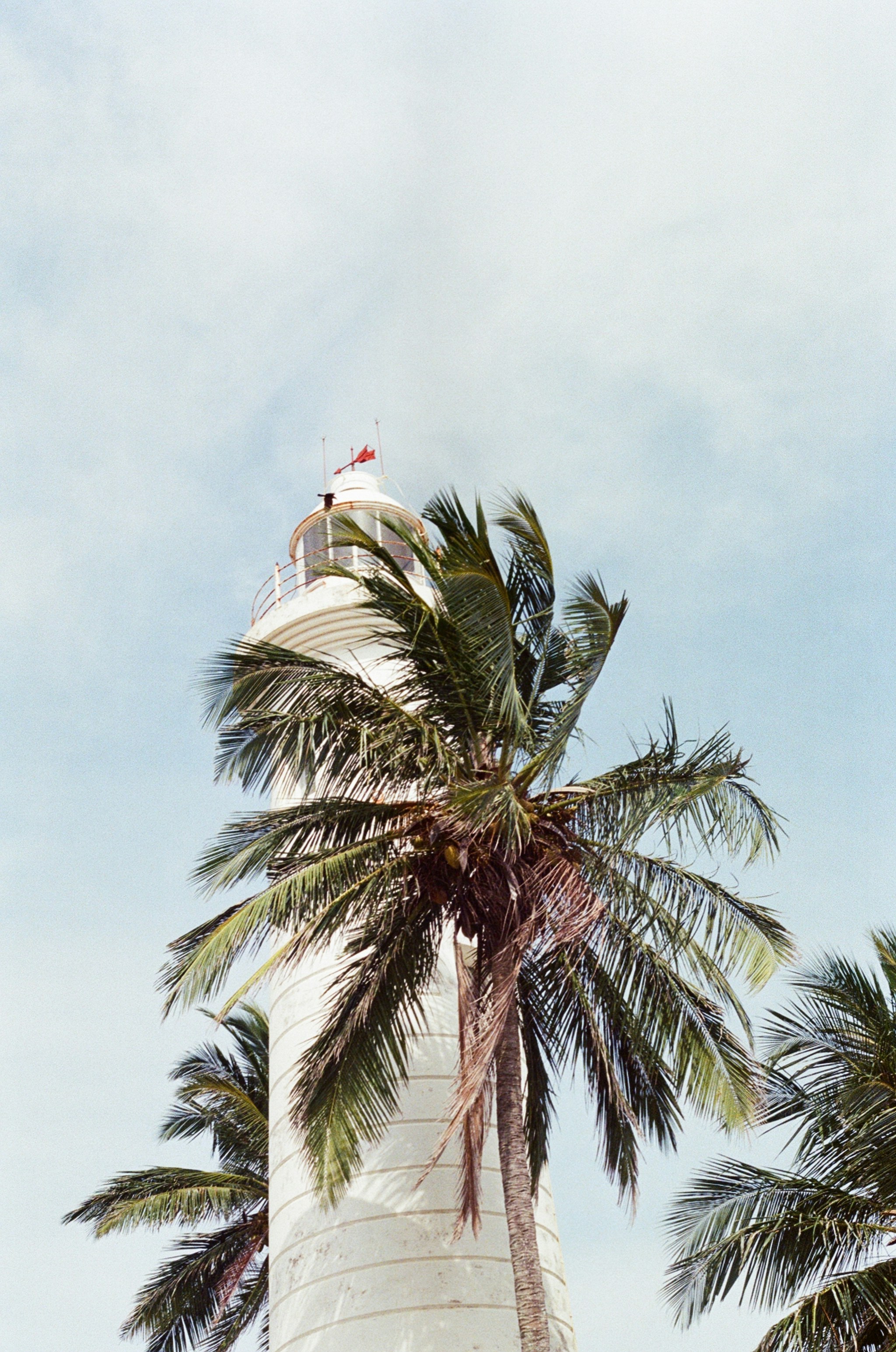 Crisis-Tested Reliability