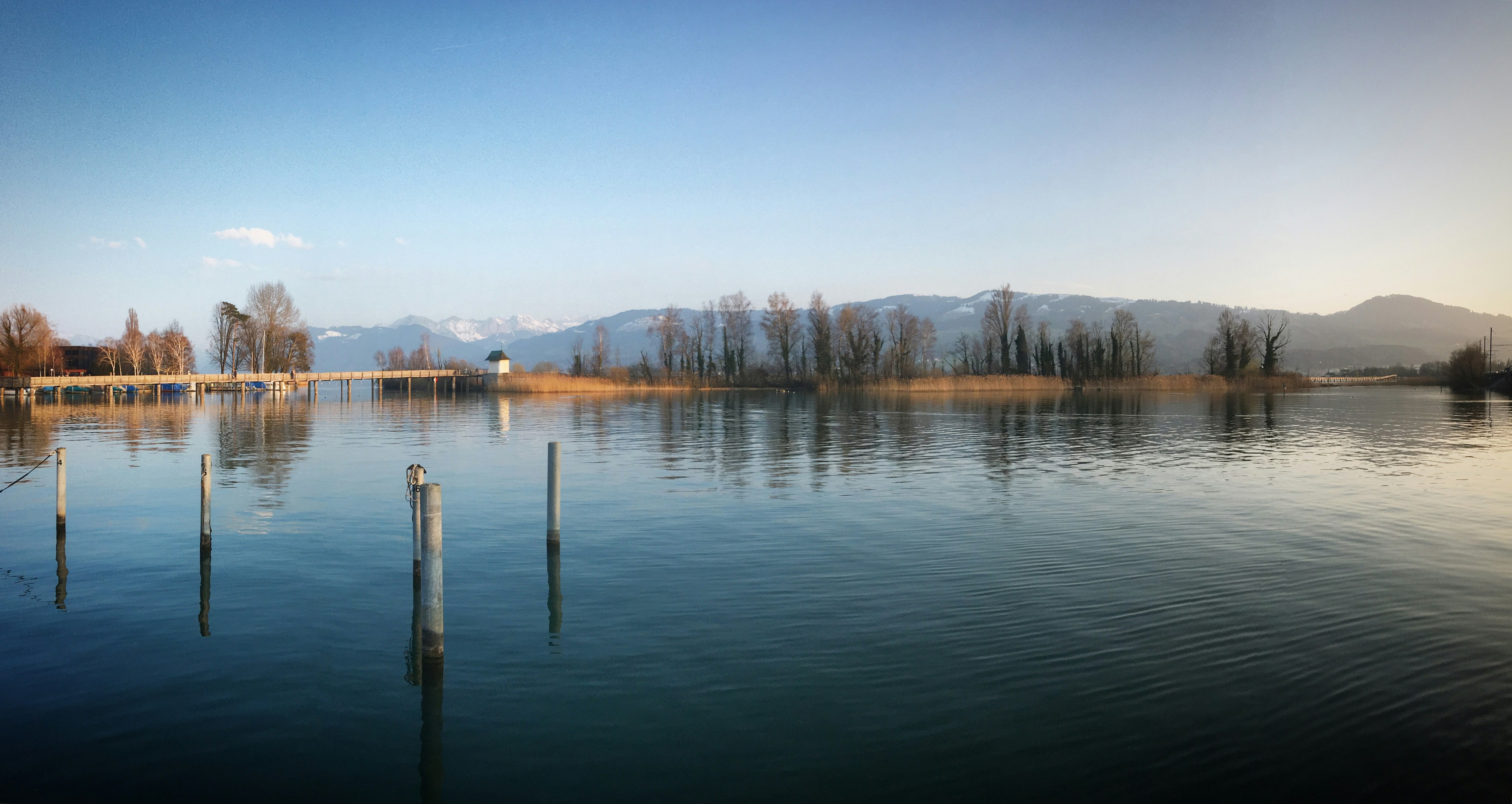 Photo by sergei_gussev