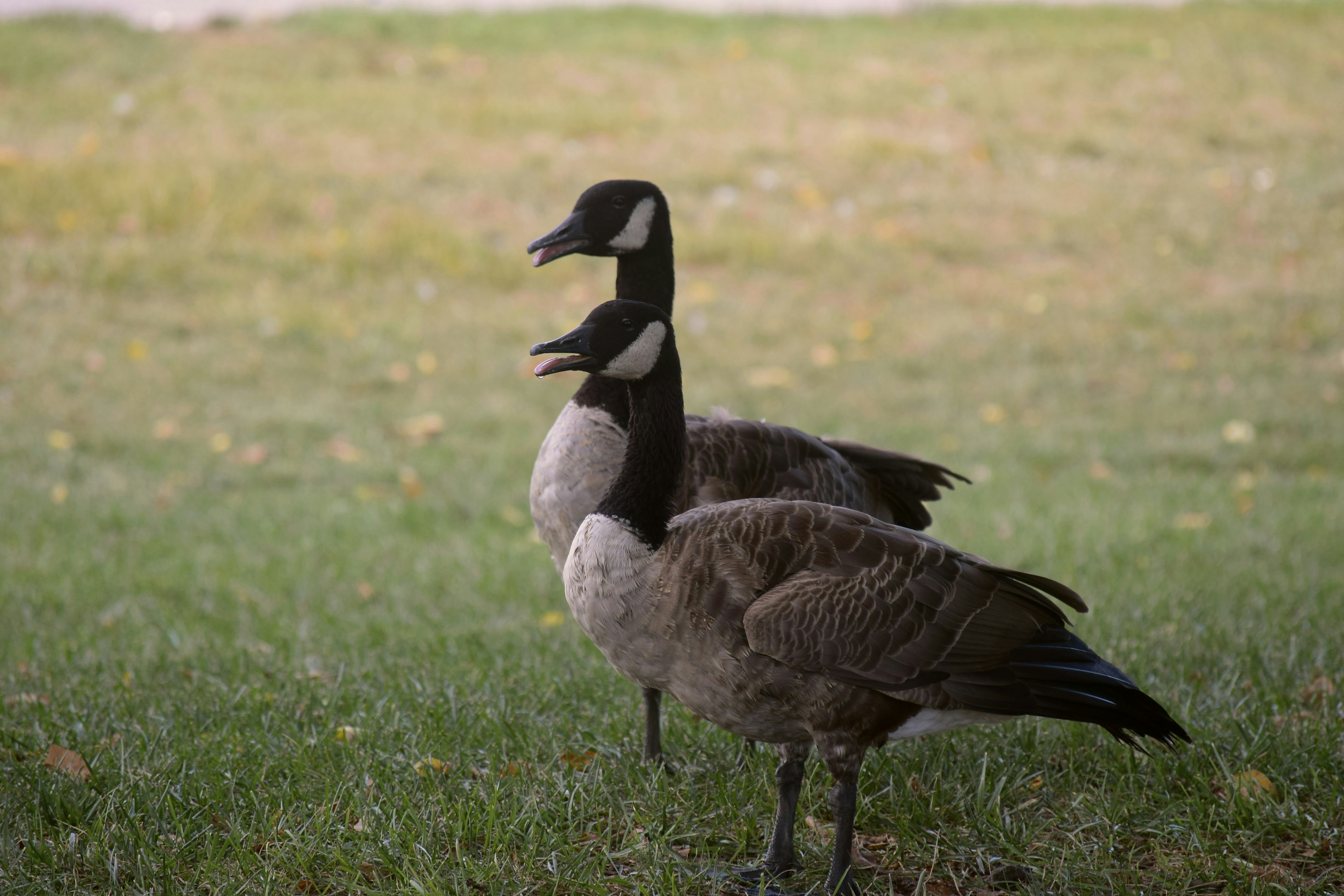 Photo by praswinprakashan