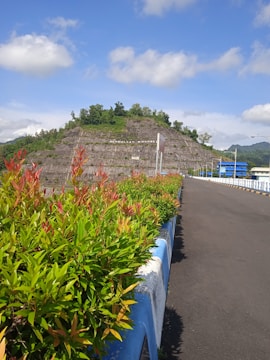 A paved road with blue and white barriers runs alongside neatly trimmed bushes. In the background, a large, multi-level embankment covered in green foliage rises up, with 'Bendungan Wonorejo' written on it. The sky is bright and dotted with fluffy clouds.