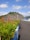 A paved road with blue and white barriers runs alongside neatly trimmed bushes. In the background, a large, multi-level embankment covered in green foliage rises up, with 'Bendungan Wonorejo' written on it. The sky is bright and dotted with fluffy clouds.