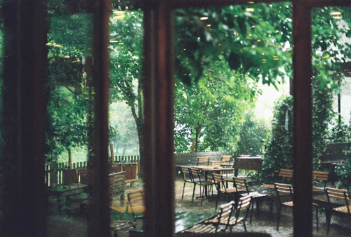 A serene café corner adorned with minimalist pampas grass and lush greenery.