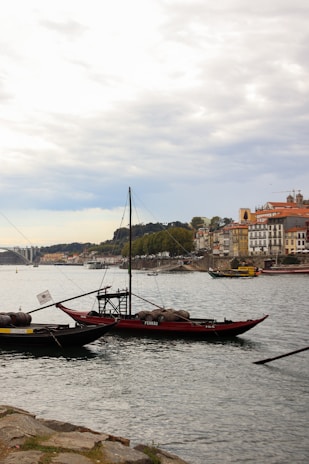 A scenic view of the Douro River with traditional boats.