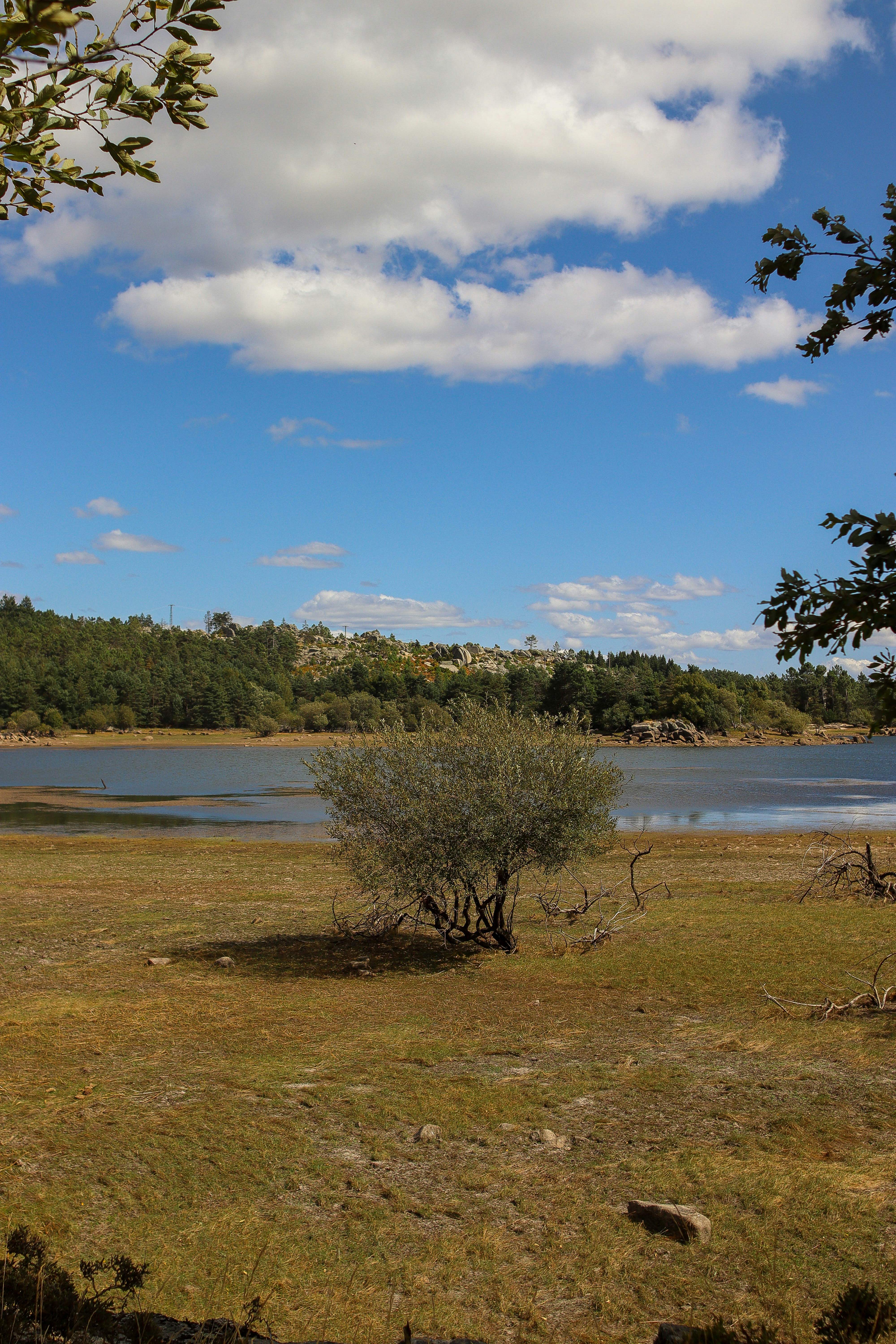 Photo by asfotosde1enorme