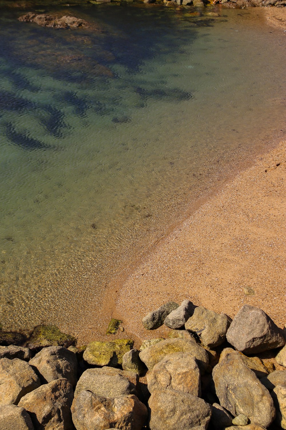 a beach with rocks and a body of water