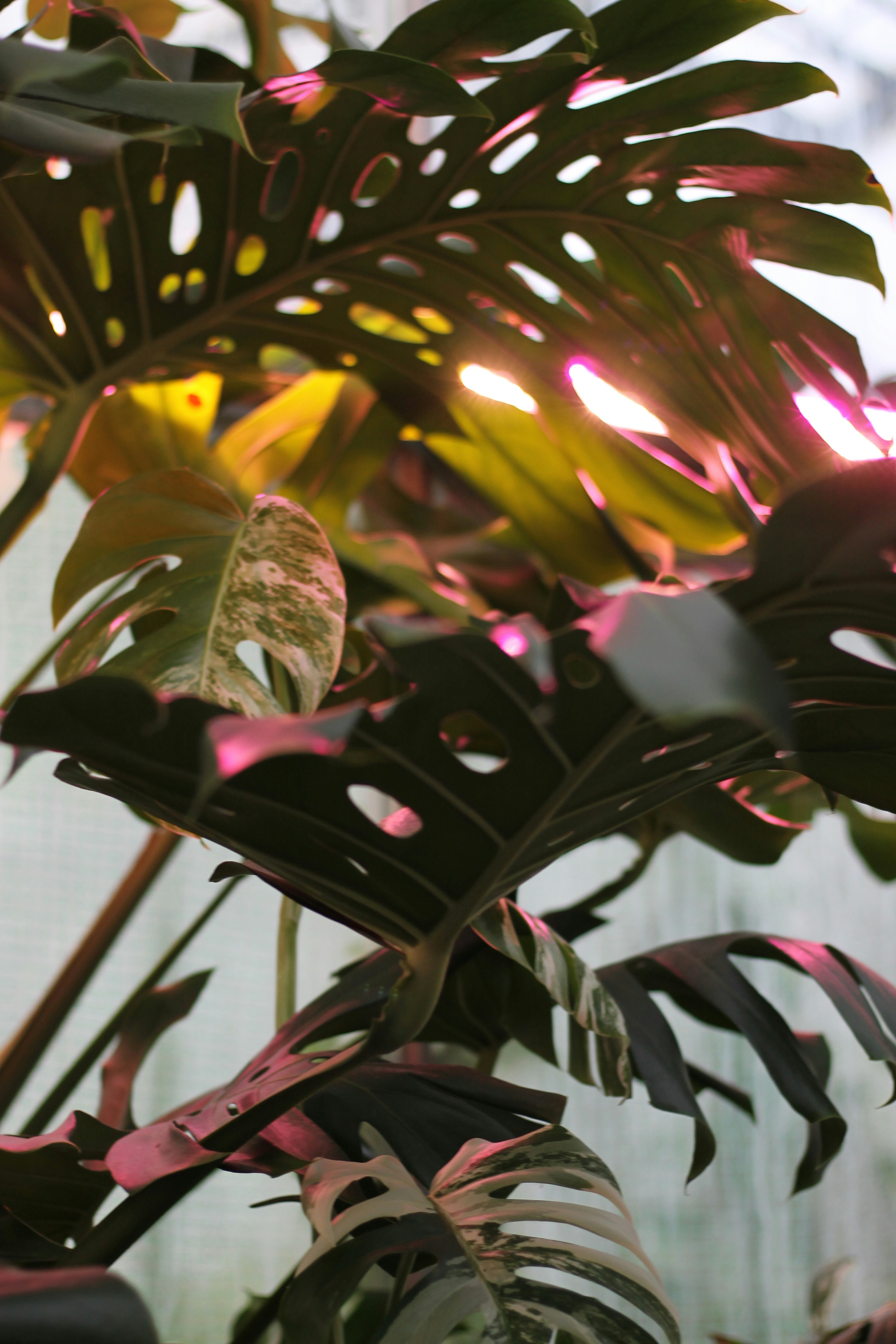 Photo by chris_miskevych