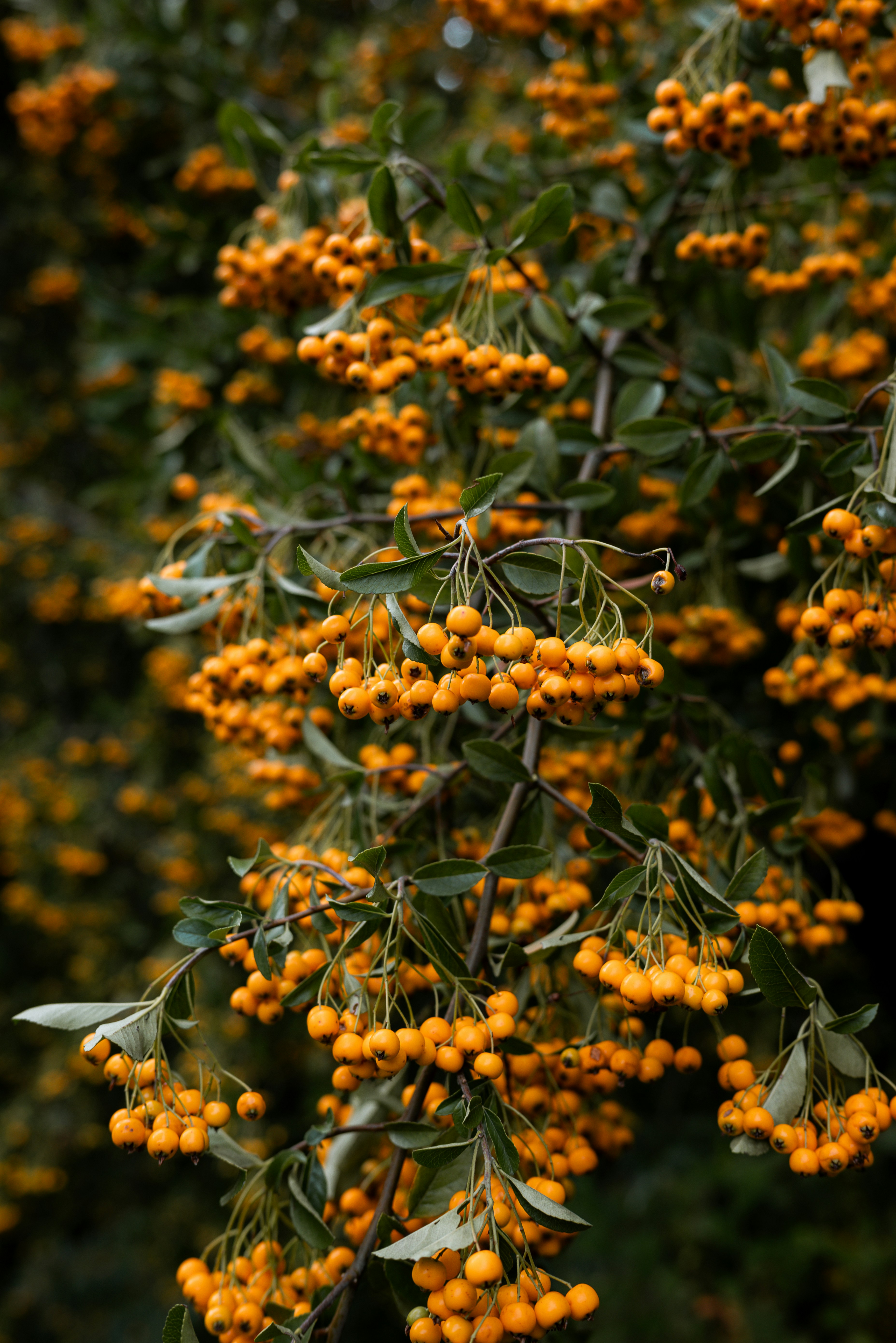 Photo by jetztabertempo