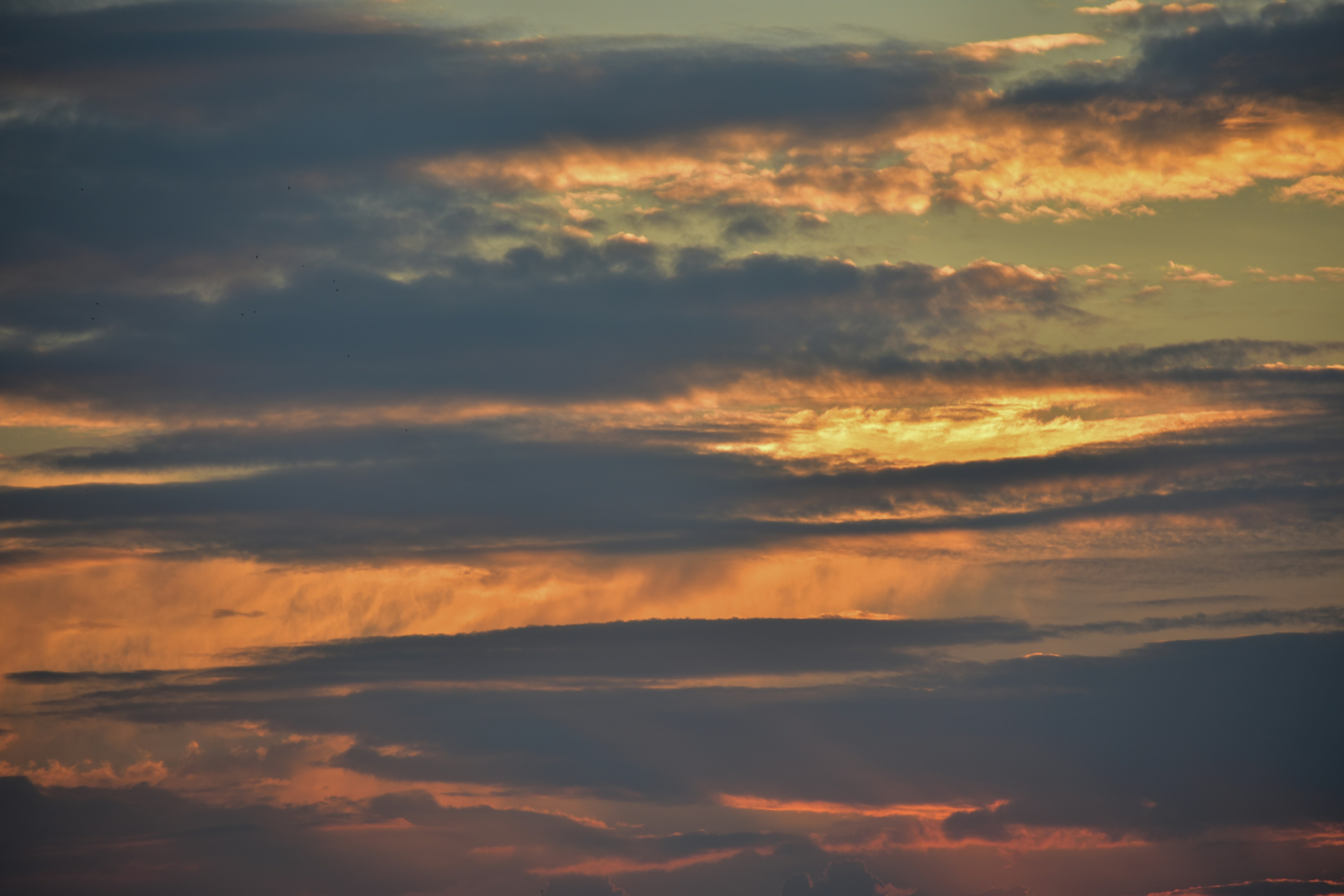 Photo by neelakshi_singh_