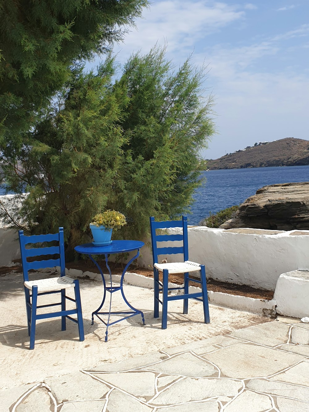 a couple of chairs and a table near a tree