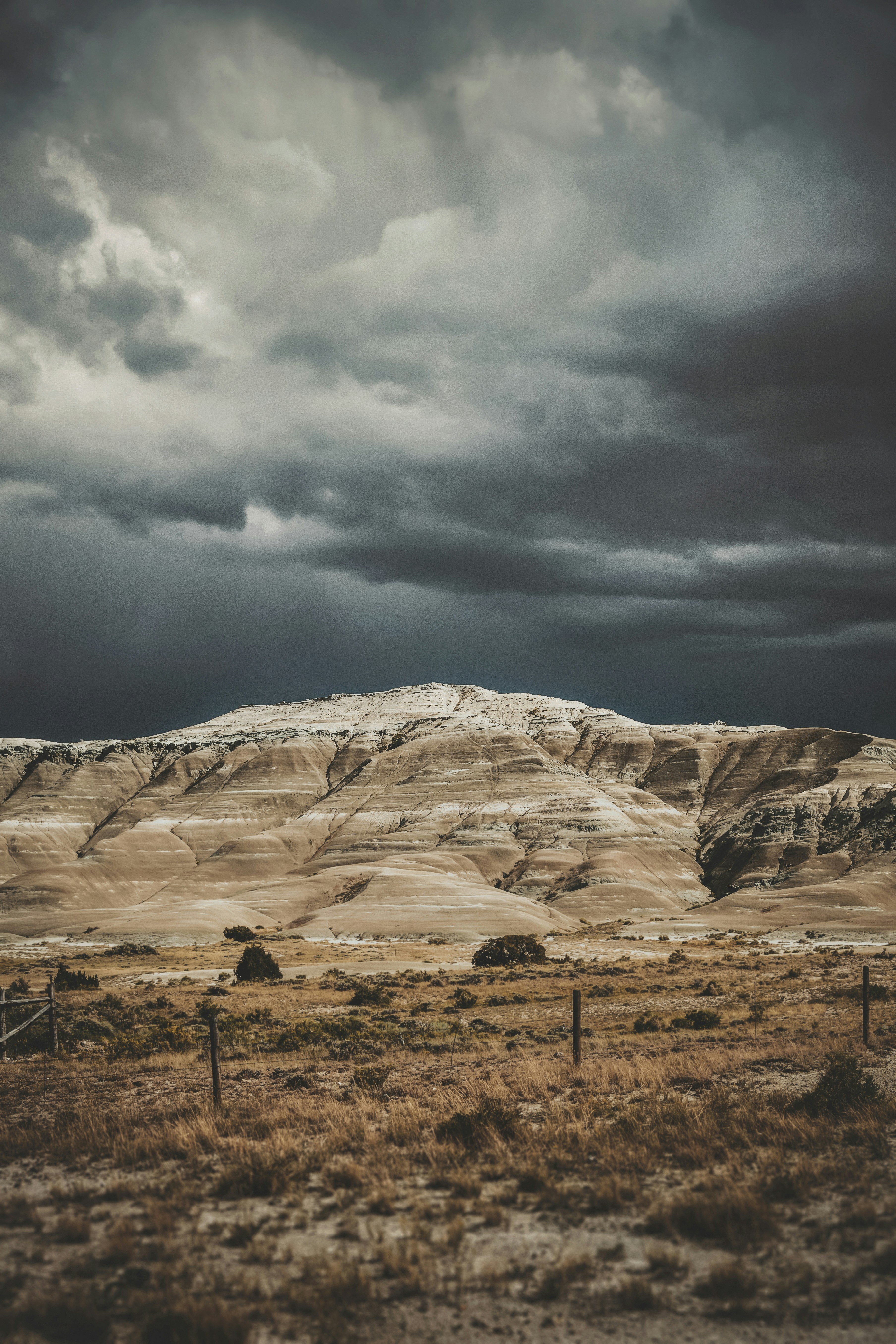 Photo by timmossholder