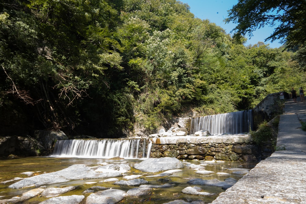 a small waterfall in the middle of a forest