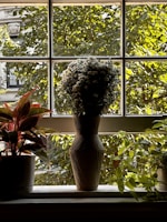 A sunlit window sill adorned with potted plants and small vintage trinkets.