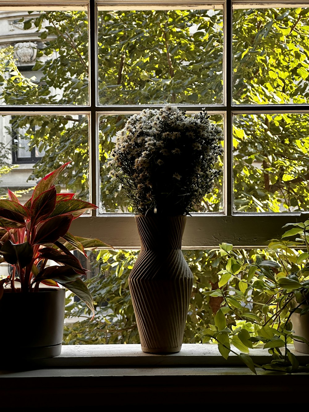 a couple of plants sitting on top of a window sill
