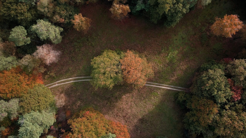 an aerial view of a road in the middle of a forest