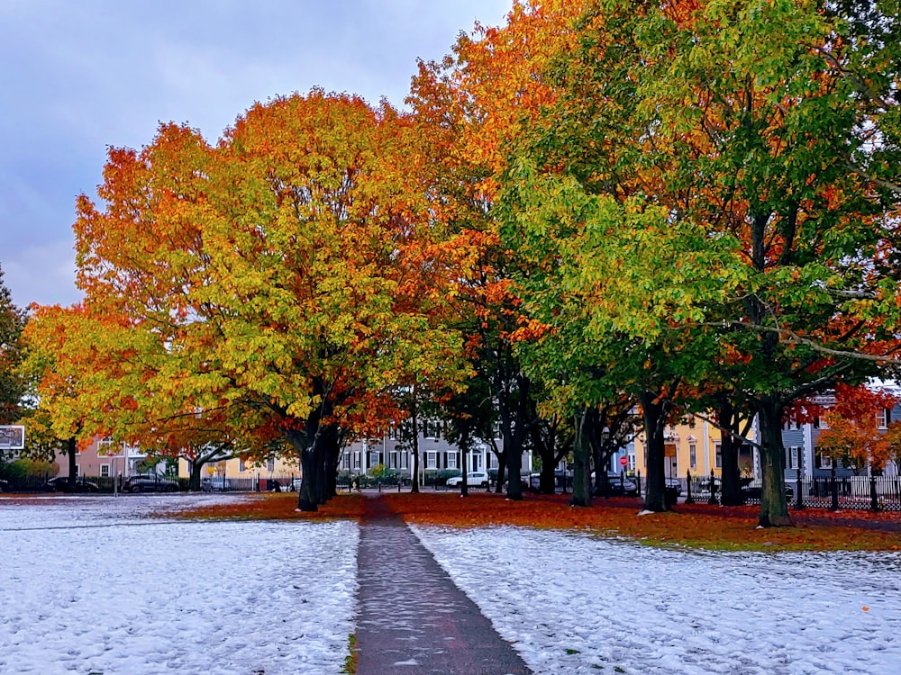 a sidewalk in a park with snow on the ground