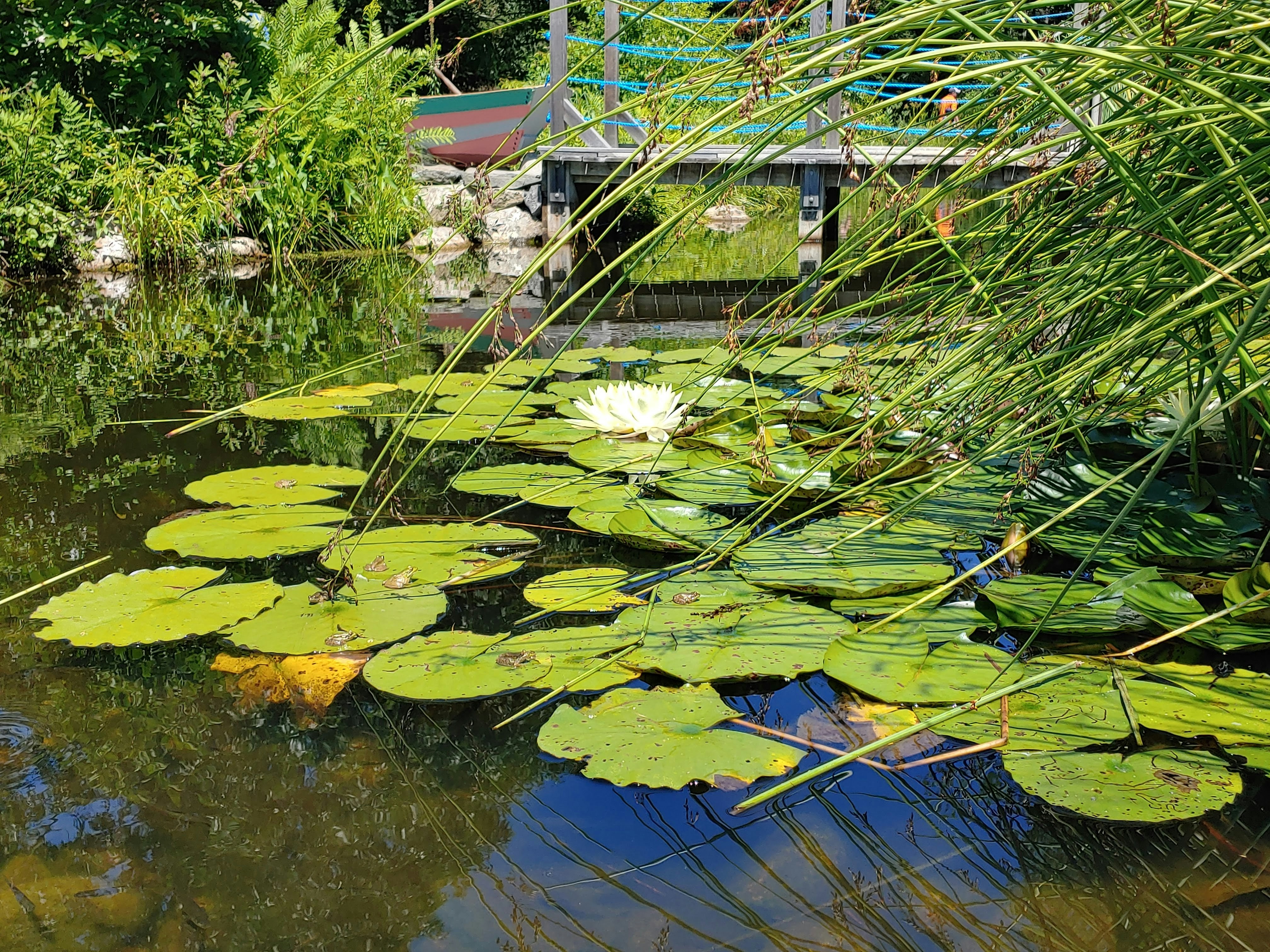 Photo by lauramichaelski23