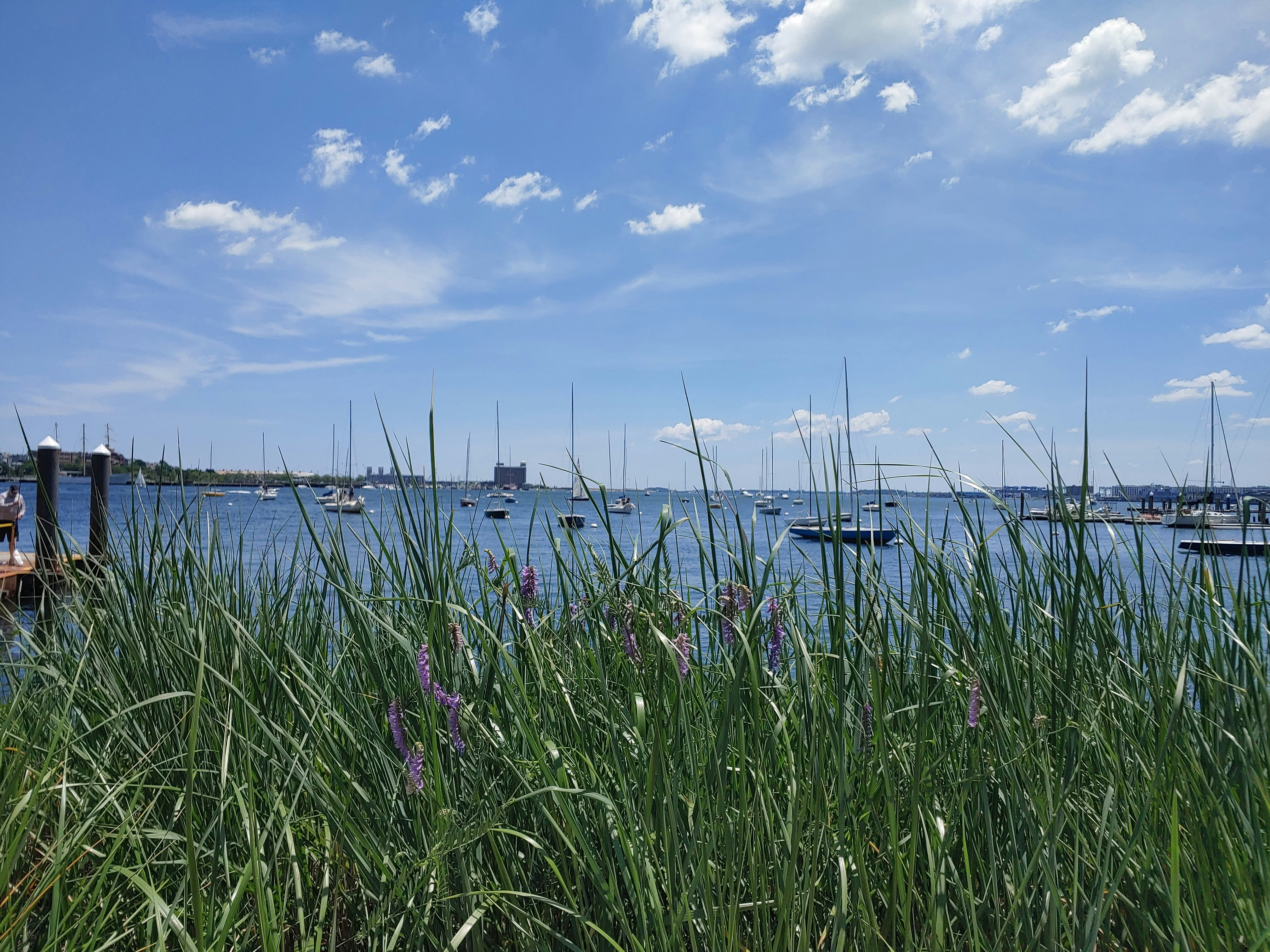 Photo by lauramichaelski23