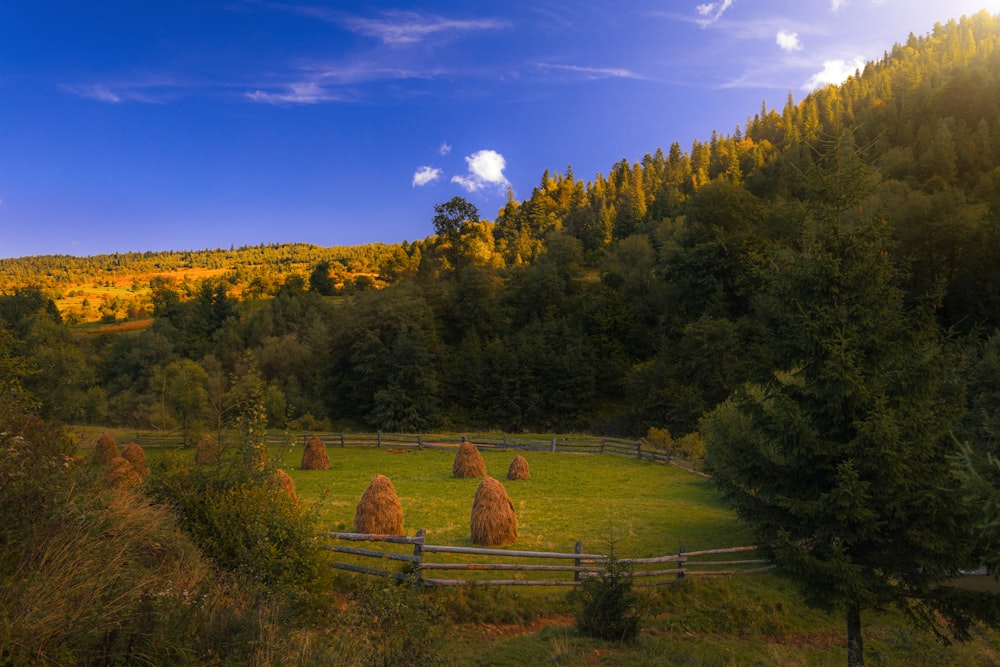 a field with hay bales in the middle of it