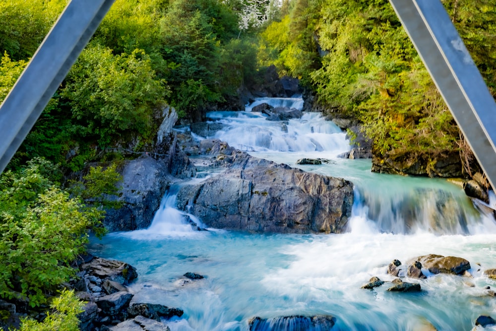 a river flowing through a lush green forest