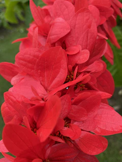 A vibrant close-up shot of a rare vintage Pokémon card from the 90s collection.