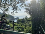 Adventurers zip-lining through a dense tropical forest.