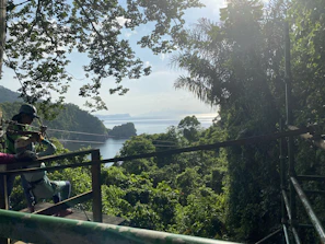Guests enjoying a zipline ride above the forest canopy with panoramic views